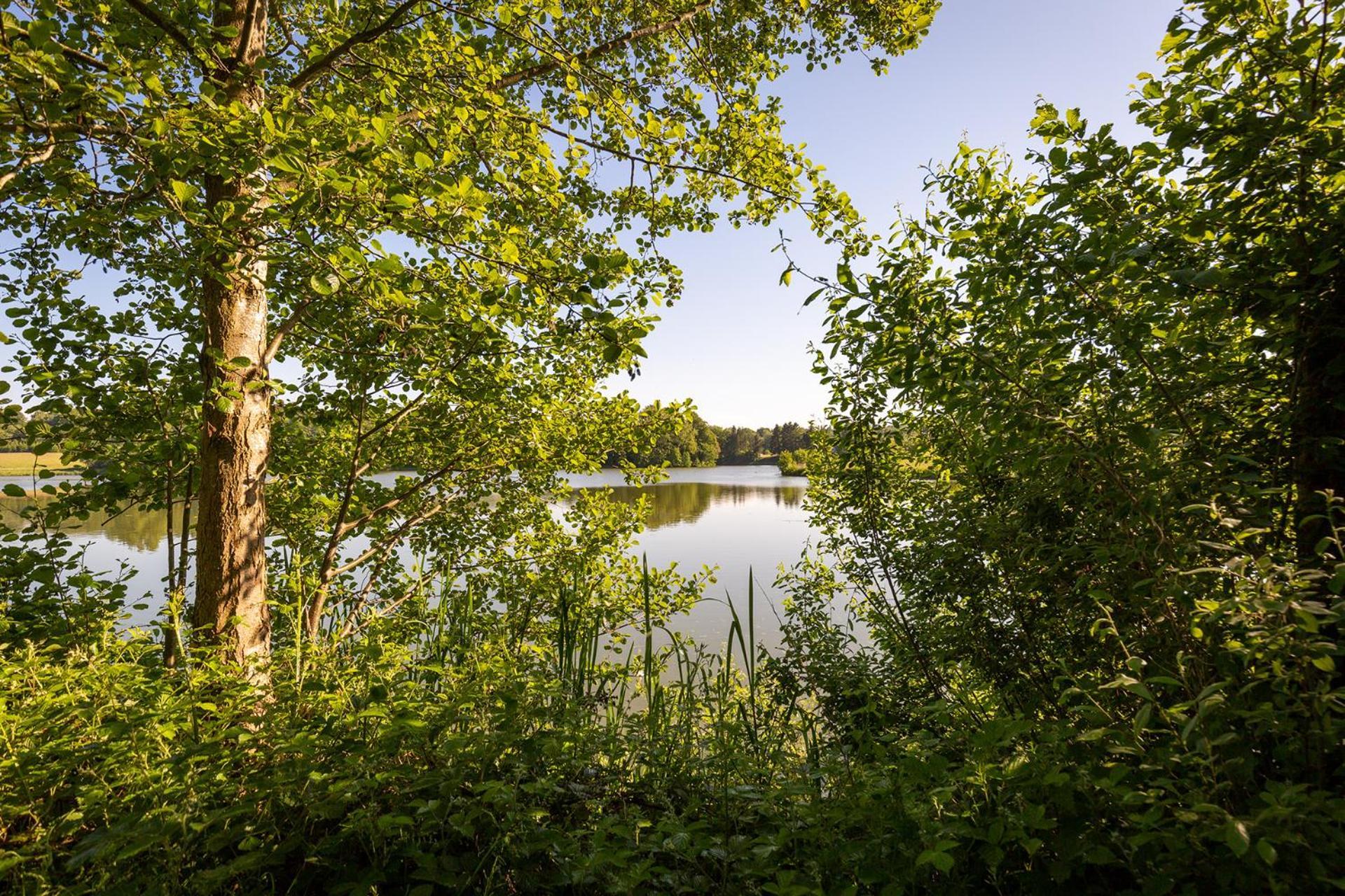 Ferienhaus Am Moenchneversdorfer See Schonwalde am Bungsberg Екстер'єр фото